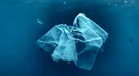 Plast i havet