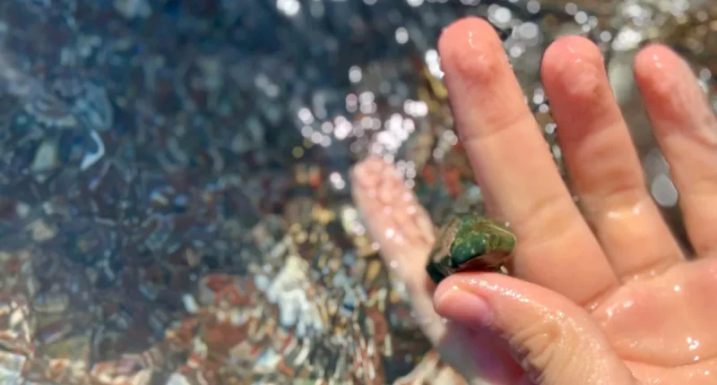 Havets ph värde är avgörande för hållbara hav