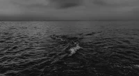 Svarta havet