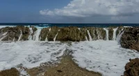 Karibiska havet